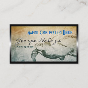 Carte De Visite Tortue de mer verte / Conservation des ressources 