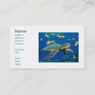 Carte De Visite Tortue de mer verte, nom, adresse 1, adresse 2, C