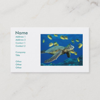 Carte De Visite Tortue de mer verte, nom, adresse 1, adresse 2, C…