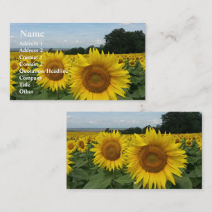 Carte de visite tournesol