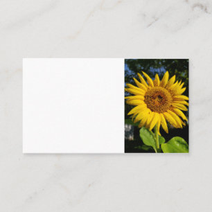 Carte De Visite Tournesol