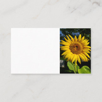 Carte De Visite Tournesol