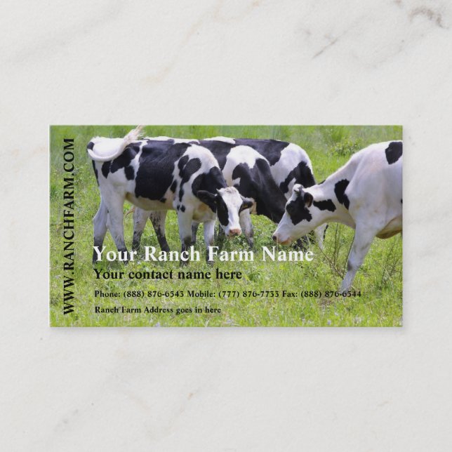 Carte De Visite Traite de la ferme de bétail de vache laitière (Devant)