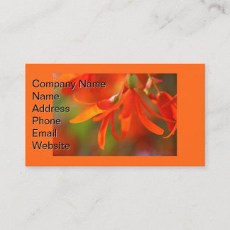 Carte De Visite Trending Orange Begonia