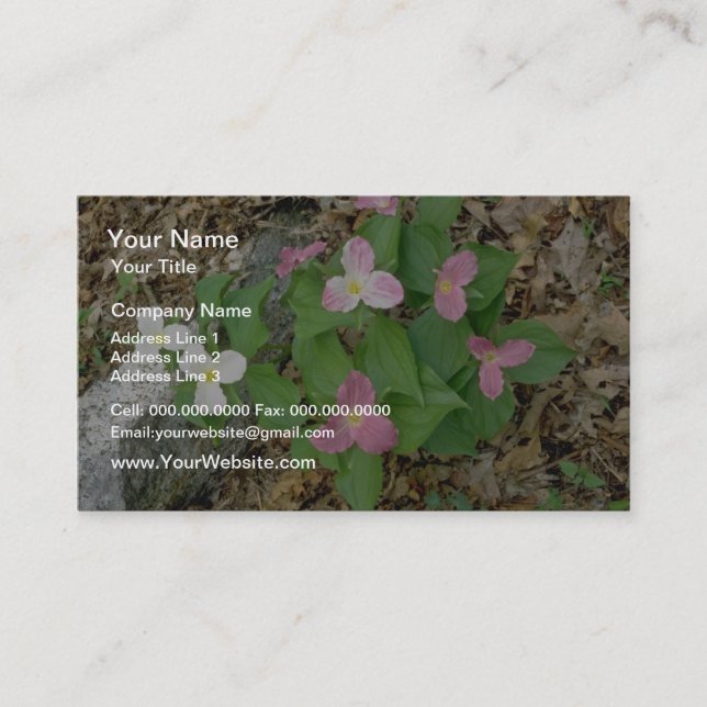 Carte De Visite Trilliums roses, Québec, Canada. fleurs (Devant)