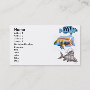 Carte de visite tropical de poissons d'aquarium