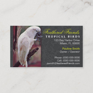 Carte de visite tropical d'oiseaux