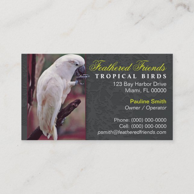 Carte de visite tropical d'oiseaux (Devant)