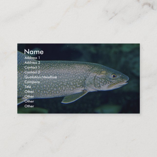Carte De Visite Truite grise (Devant)