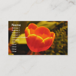 Carte de visite Tulipe orange
