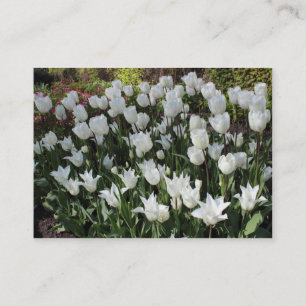 Carte De Visite Tulipes blanches