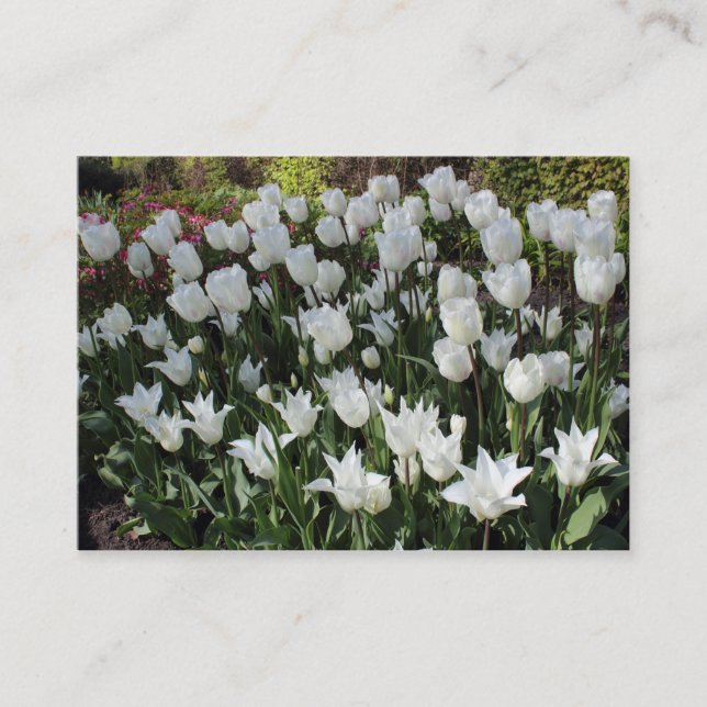 Carte De Visite Tulipes blanches (Devant)