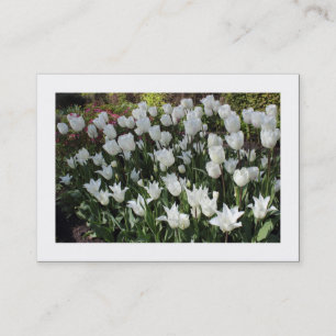 Carte De Visite Tulipes blanches (ordonnées)