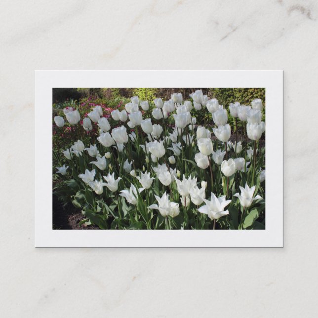 Carte De Visite Tulipes blanches (ordonnées) (Devant)
