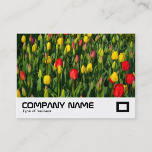 Carte De Visite Tulipes colorées