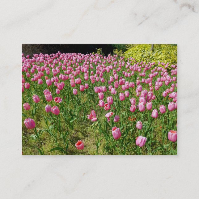Carte De Visite Tulipes roses (Devant)