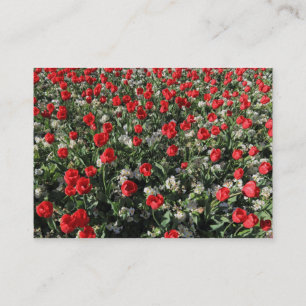 Carte De Visite Tulipes rouges et primeurs