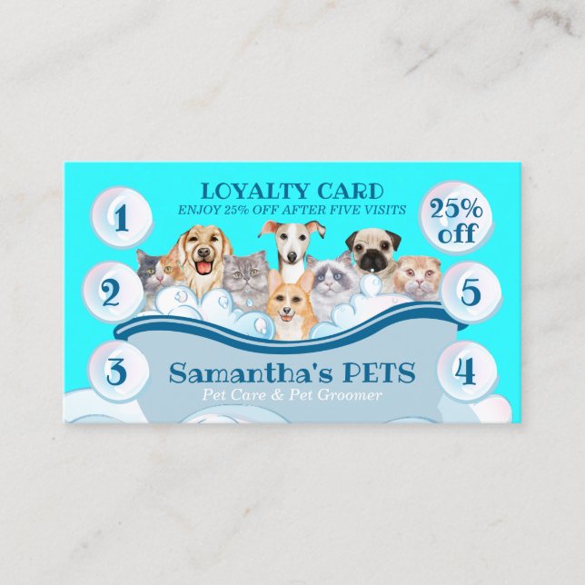 Carte De Visite Turquoise Blue Chien Chat Groomer Animaux de compa (Devant)