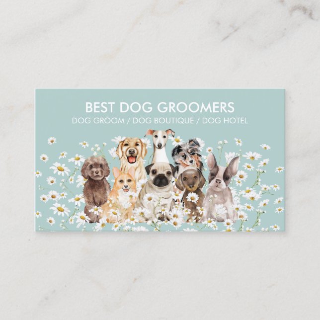 Carte De Visite Turquoise Green Daisy PetSitter chien soins vétéri (Devant)