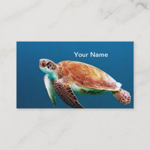 Carte De Visite Turtle Blue Water Photo