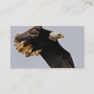 Carte De Visite Un aigle à tête blanche monte vers le ciel