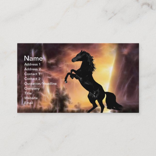 Carte De Visite Un cheval de Stallion friésien (Devant)
