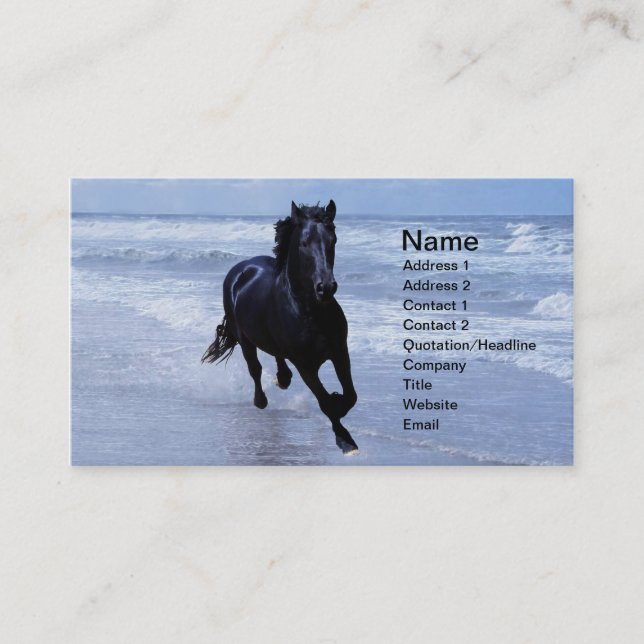 Carte De Visite Un cheval sauvage et libre (Devant)
