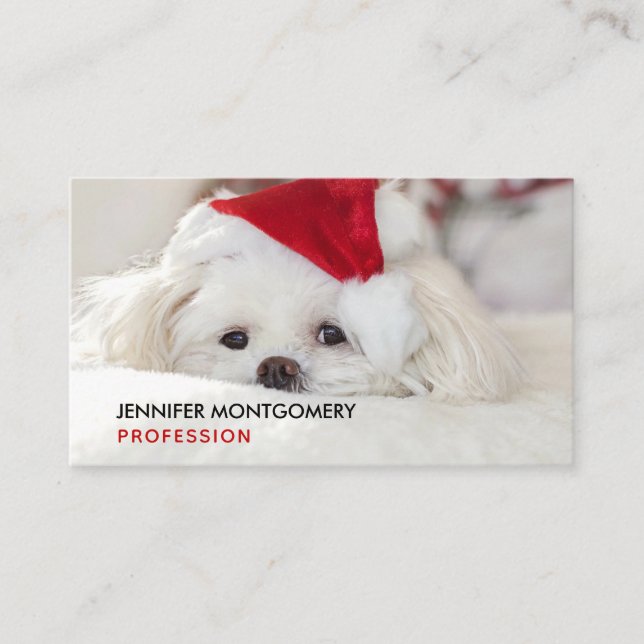 Carte De Visite Un mignon chien blanc dans un Casquette de Noël ro (Devant)