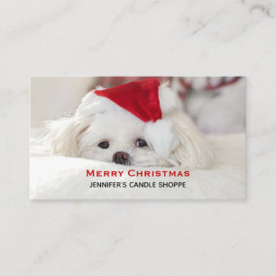 Carte De Visite Un mignon chien blanc dans un Casquette de Noël ro