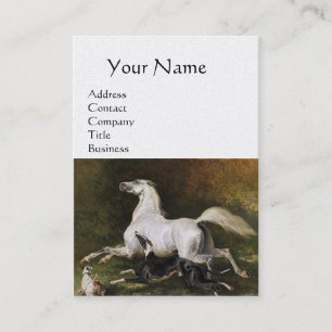 Carte De Visite Un Stallion Arabe Gris Gallophile Avec Chiens, Per