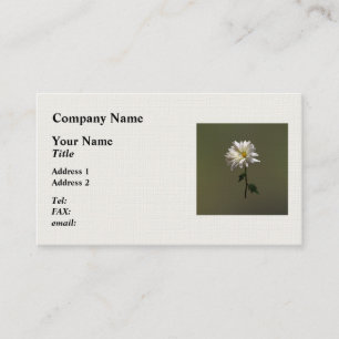Carte De Visite Une marguerite blanche
