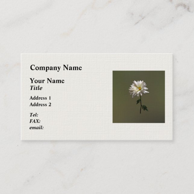 Carte De Visite Une marguerite blanche (Devant)