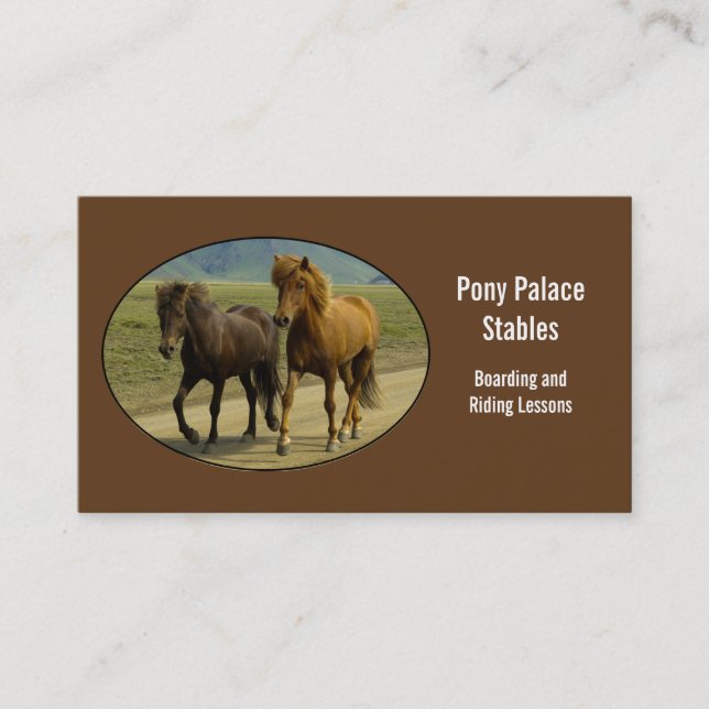 Carte De Visite Une paire de poneys islandais Brown (Devant)