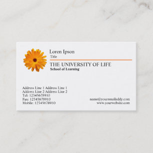 Carte De Visite Université de vie - Marigold, Orange Rule