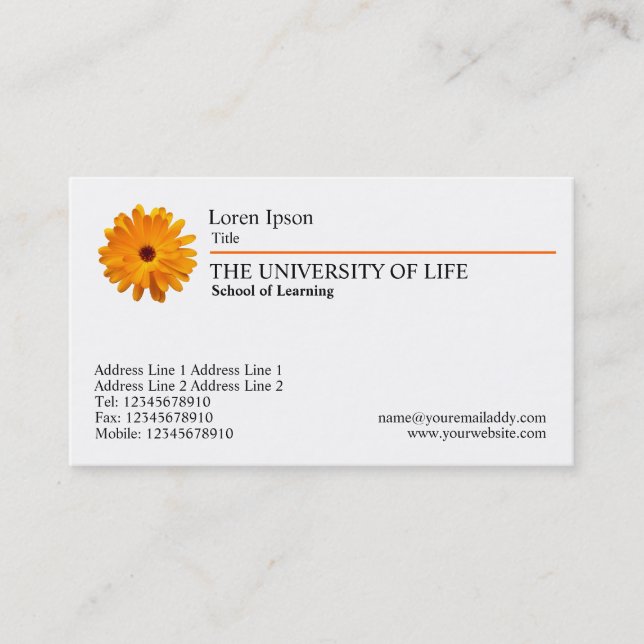 Carte De Visite Université de vie - Marigold, Orange Rule (Devant)