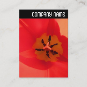 Carte De Visite V En-tête - À l'intérieur d'une tulipe