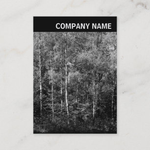Carte De Visite V En-tête - Image - Arbres de hêtre
