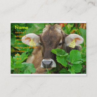 Carte De Visite Vache