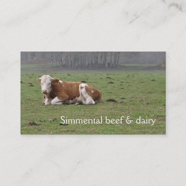 Carte De Visite Vache à simmenthal (Devant)