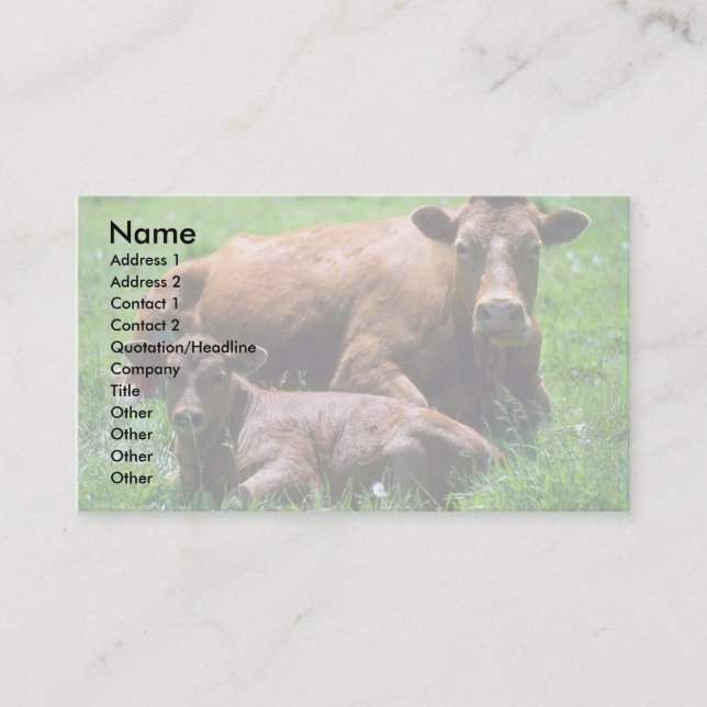 Carte De Visite Vache et veau (Devant)