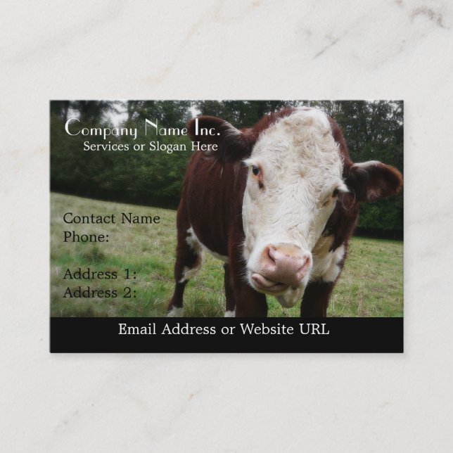 Carte De Visite Vache faite face blanche collant la langue (Devant)