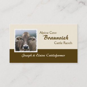 Carte De Visite Vache laitière alpine de Braunvieh