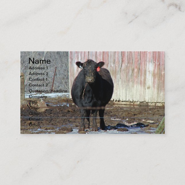 Carte De Visite Vache noire à Angus en hiver (Devant)