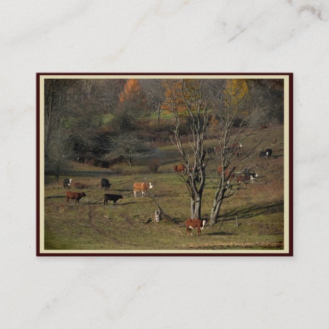 Carte De Visite Vaches de pâturage ATC (Devant)