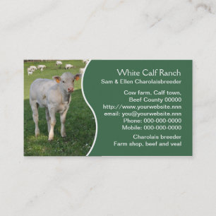 Carte De Visite Veau blanc du charolais avec le panneau vert