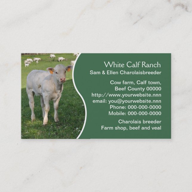 Carte De Visite Veau blanc du charolais avec le panneau vert (Devant)