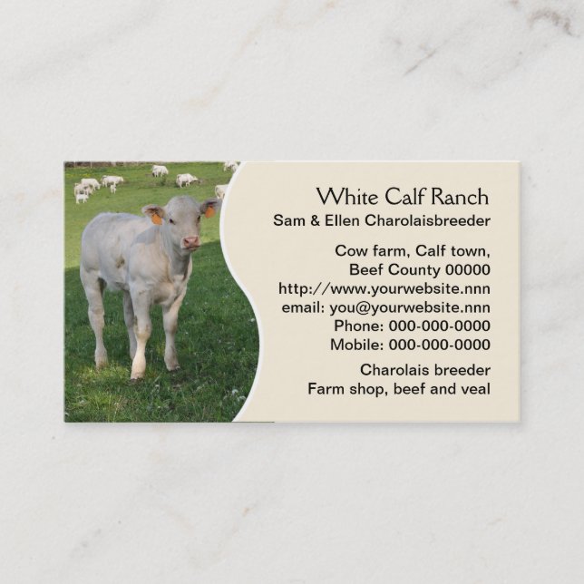 Carte De Visite Veau du charolais avec le panneau crème (Devant)