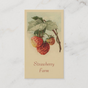 Carte De Visite Ventes de fruit de fraises