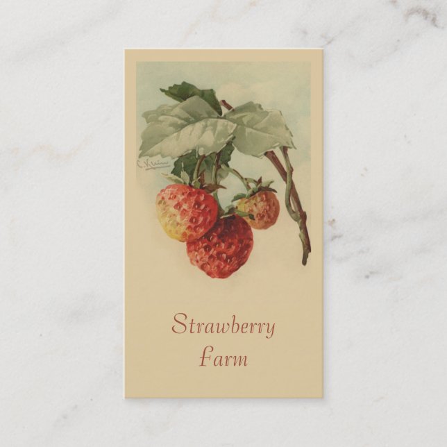 Carte De Visite Ventes de fruit de fraises (Devant)