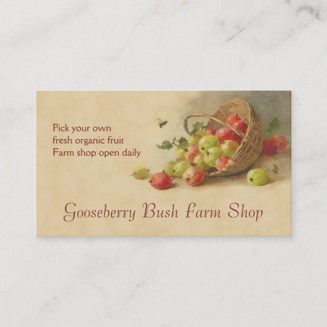 Carte De Visite Ventes de fruit de groseille à maquereau (Devant)